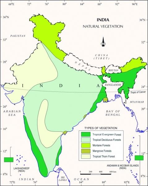 mapa de los bosques de mangle en la India