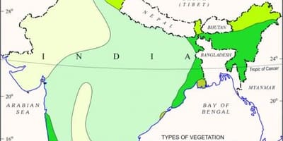 Mapa de los bosques de mangle en la India