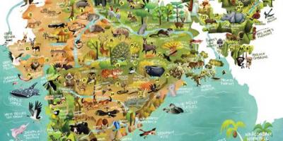 La India de la vida silvestre mapa